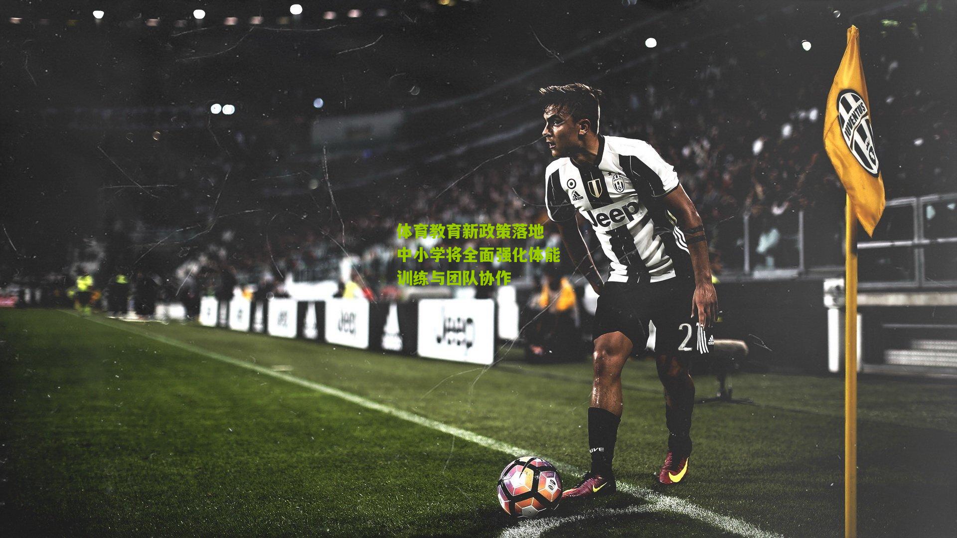 体育教育新政策落地 中小学将全面强化体能训练与团队协作