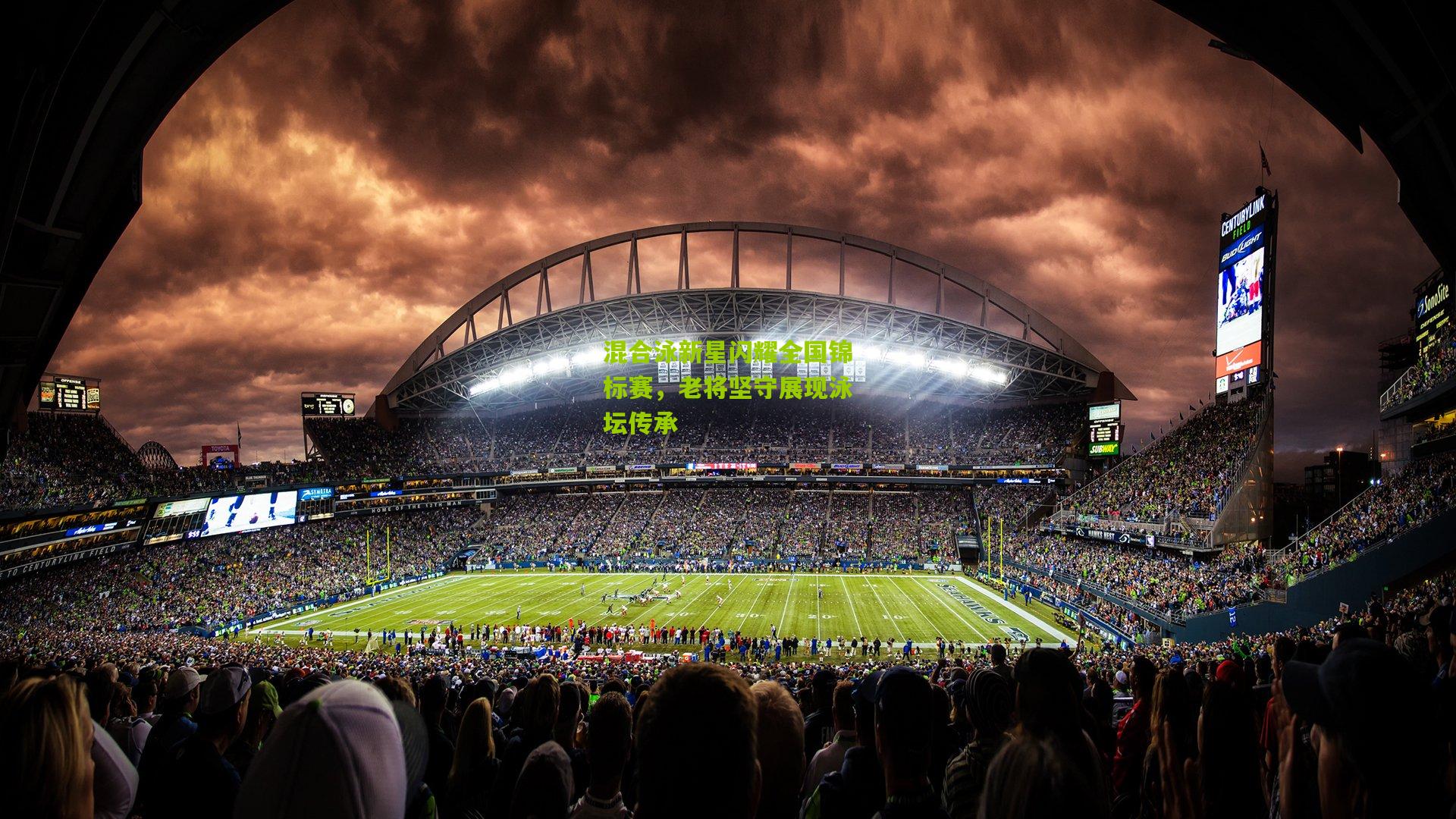 混合泳新星闪耀全国锦标赛，老将坚守展现泳坛传承